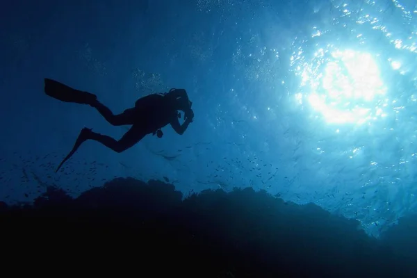 Life Giving Sunlight Underwater Sun Beams Shinning Underwater Scuba Diver — Stock Photo, Image