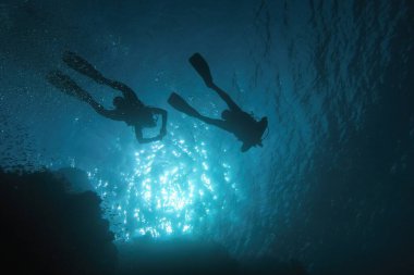 Suyun altında parlayan güneş ışınları ve mavi suda dalgıçların silueti 