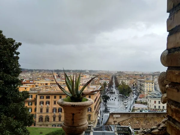 Itália Roma Dezembro 2019 Vista Terraço Museu Vaticano Sobre Cacto — Fotografia de Stock