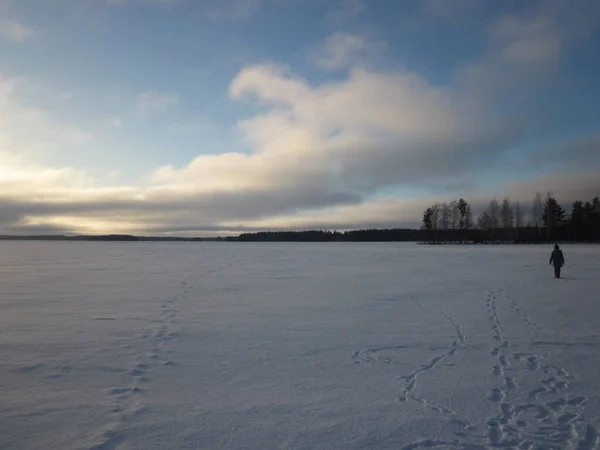 Egy Lány Sétál Egy Fagyos Hófödte Erdei Tavon Egy Téli — Stock Fotó