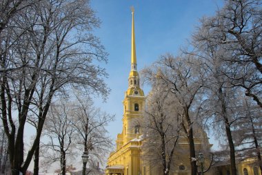 St. Petersburg, Rusya - 9 Şubat 2021. Güneşli bir kış gününde Peter ve Paul Kalesi 'nin merkez sokağından Peter ve Paul Katedrali' nin manzarası