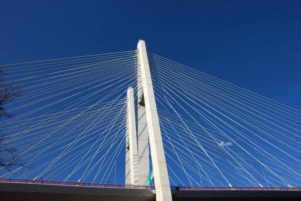Schrägseilbrücke Mast Und Seile Gegen Den Himmel Seitenansicht — Stockfoto