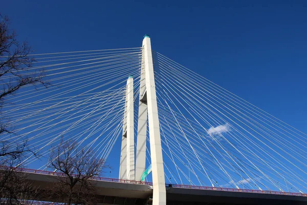 Cable-stayed bridge pylon and cables against the sky, side view