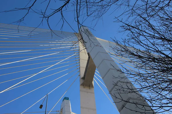 Bottom view of the cable-stayed bridge supports and cable stays against the sky