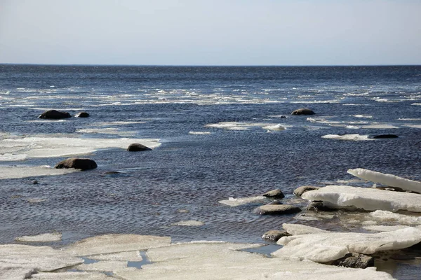 Velké Ledové Kry Mělčinách Zálivu Racci Tání Větrného Slunečného Jarního — Stock fotografie