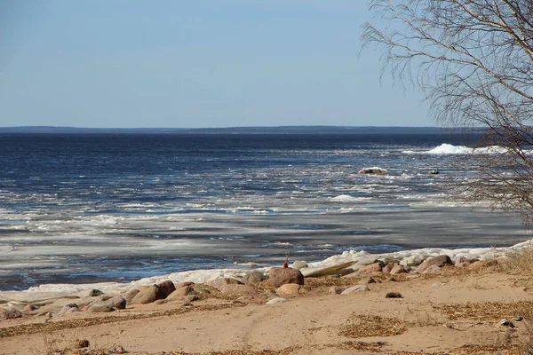 在阳光明媚的日子里 海湾早春的海岸上浮着冰 — 图库照片