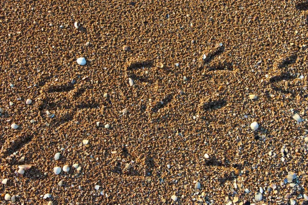 Sea Beach Sand Bird Tracks Summer Background Close — Stock Photo, Image