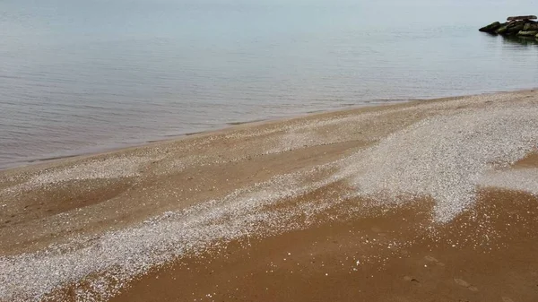 Vue Aérienne Plage Sable Mer Sud Peu Profonde Comme Fond — Photo