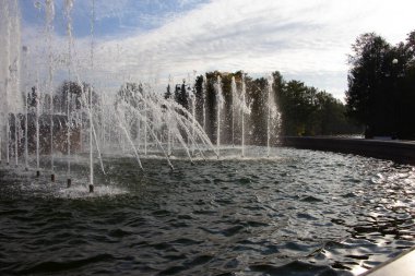 Parktaki bir fıskiyenin su jetleri.