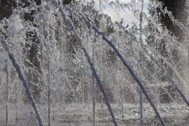 Fıskiye fıskiyelerinin doğal arka plan için yakın plan, karşı ışık