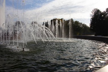 Parktaki bir fıskiyenin su jetleri.