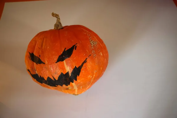Крупный План Тыквы Хэллоуина Изолированной Белом Фоне — стоковое фото