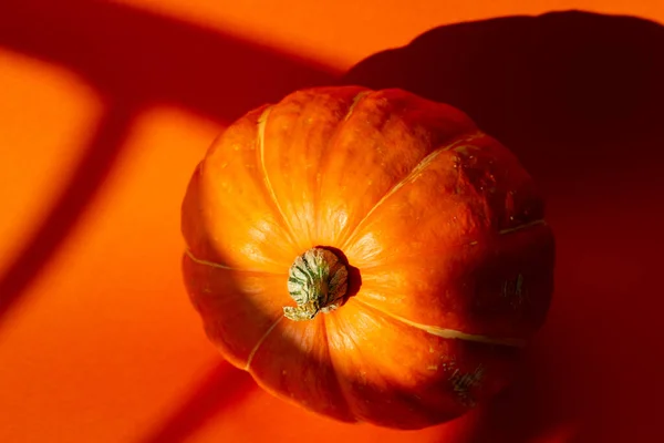 Přední Horní Fotografie Dýně Dýně Stonek Izolované Oranžovém Pozadí Podzimním — Stock fotografie