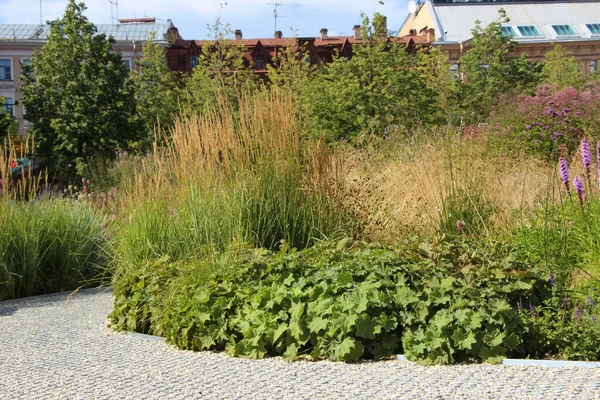 Vue Sur Les Parterres Ornementaux Manteau Dame Plume Roseau Herbe Photos De Stock Libres De Droits