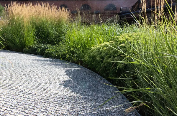 Lady 's Mantle, Feather Reed-grass Overdam ve Karl Foerster' ın süslü yataklarının manzarası. Güneşli bir akşamda bir şehir parkında