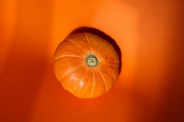 Přední Horní Fotografie Dýně Izolované Oranžovém Pozadí Studio Záběr — Stock fotografie