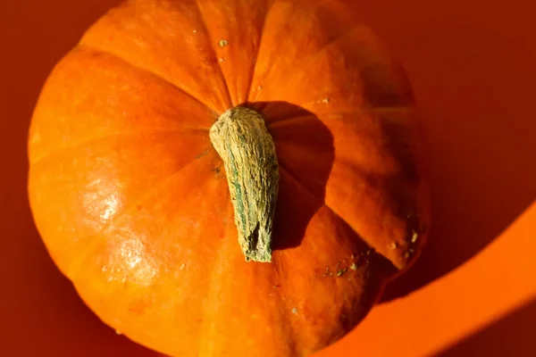 Photo Dessus Citrouille Tige Citrouille Isolés Sur Fond Orange Prise — Photo