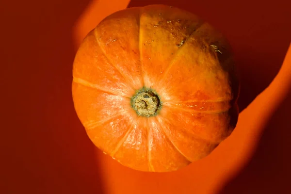 Close Abóbora Sol Outono Isolado Fundo Laranja Tiro Estúdio — Fotografia de Stock