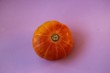 Balkabağının önden çekilmiş fotoğrafı eflatun arka planda izole edilmiş, stüdyo fotoğrafı. 