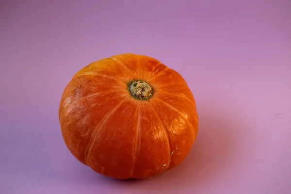 Close Pumpkin Isolated Lilac Background Studio Shot — Stock Photo, Image