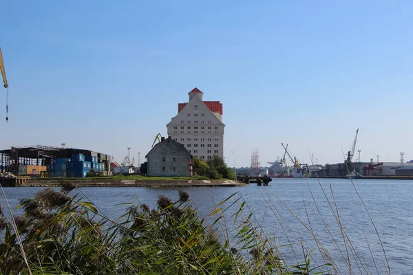 Kaliningrad Russie Septembre 2021 Vue Zone Eau Des Grues Des — Photo