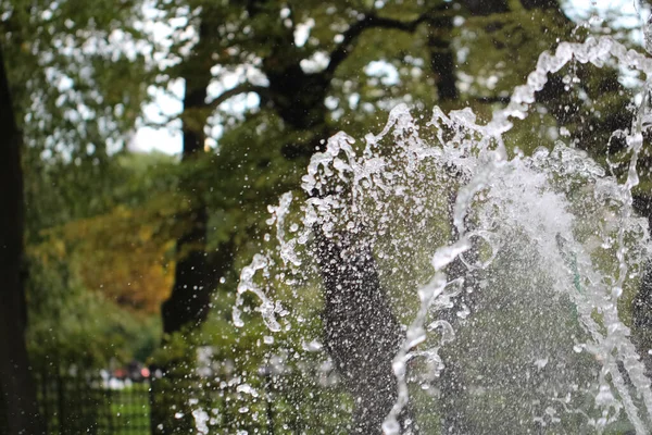 Fıskiyelerin yakın çekim fıskiyeleri ve sonbahar parkındaki ışınlar.