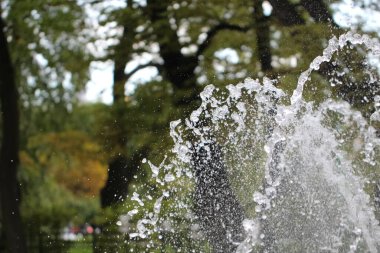 Fıskiyelerin yakın çekim fıskiyeleri ve sonbahar parkındaki ışınlar.