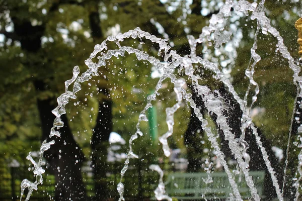 Gros Plan Jets Fontaines Éclaboussures Dans Les Rayons Dans Parc — Photo