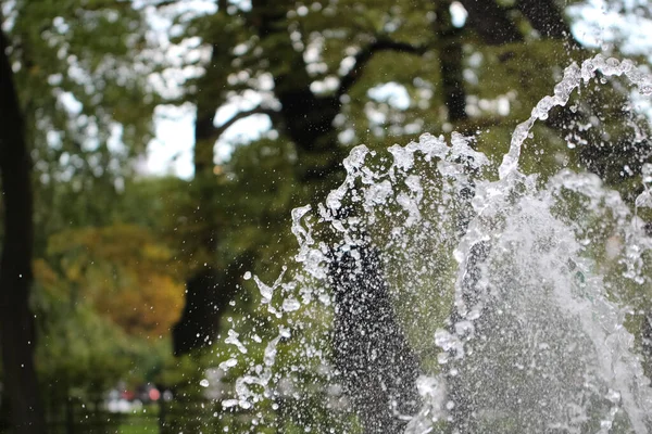 Fıskiyelerin yakın çekim fıskiyeleri ve sonbahar parkındaki ışınlar.
