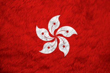 Hong Kong 'un havlu desenli bayrağı, Hong Kong bayrağının buruşuğu, kırmızı ve beyaz Bauhinia Blakeana çiçeği..