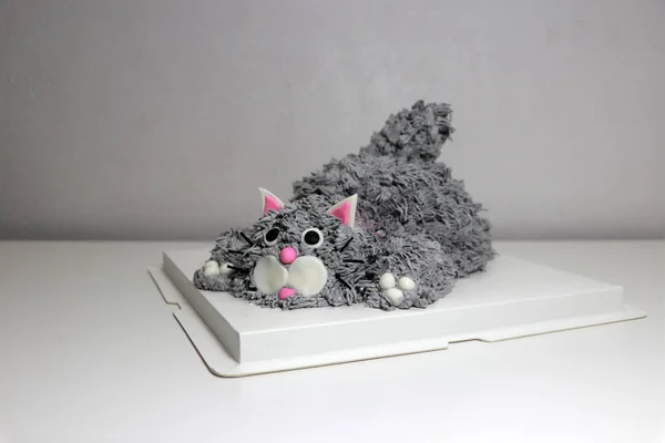 灰色の猫の形をしたケーキ 白い四角形の紙トレイに座ってポーズをとっています — ストック写真