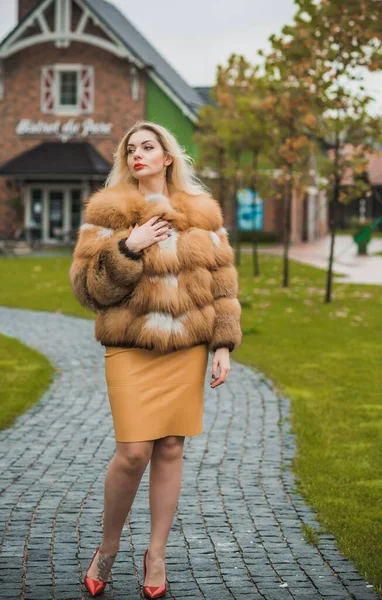 Gorgeous Size Blonde European Woman Luxury Fur Coat Women Beauty — стоковое фото