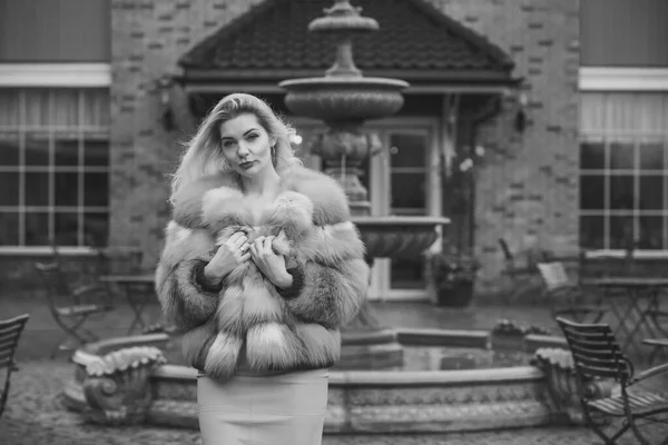 Wspaniały Rozmiar Blondynka Europejka Luksusowym Futrze Kobieca Uroda Pojęcie Futer — Zdjęcie stockowe