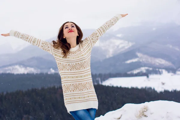 Qualcosa Inverno Natale Inverno Momento Magico Sogni Che Diventano Realtà — Foto Stock