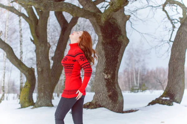 Feestdagen Kerst Wintertijd Vrouw Vakantie Wandelen Buiten Meisje Warme Modieuze — Stockfoto