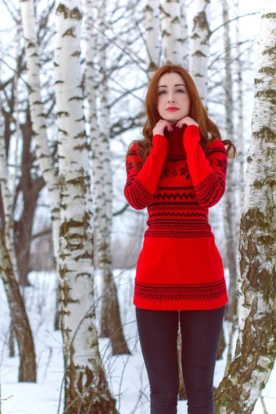 Días Festivos Navidad Invierno Mujer Vacaciones Pie Aire Libre Chica — Foto de Stock