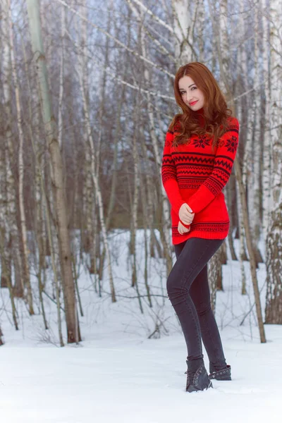 Feestdagen Kerst Wintertijd Vrouw Vakantie Wandelen Buiten Meisje Warme Modieuze — Stockfoto