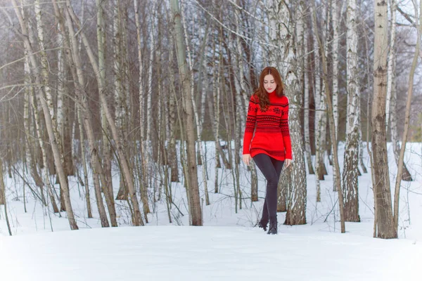 Διακοπές Χειμώνας Χριστουγέννων Γυναίκα Διακοπές Πόδια Στην Ύπαιθρο Κορίτσι Ζεστά — Φωτογραφία Αρχείου