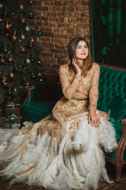  Noel tatilleri, akşam elbisesi giymiş Arap kadınlar. Holly Eve 'de oldukça hoş bir bayan. Güzel altın sarısı tüylü elbiseli kadın. 