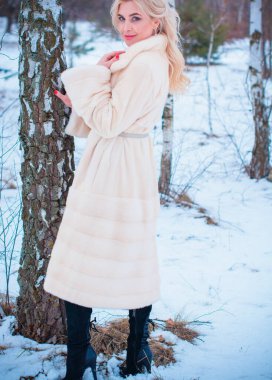 Noel zamanı açık havada oldukça hoş bir kadın, kürklü şık bir bayan, neşeli ve lüks elbiseli sihirli bir sezon.