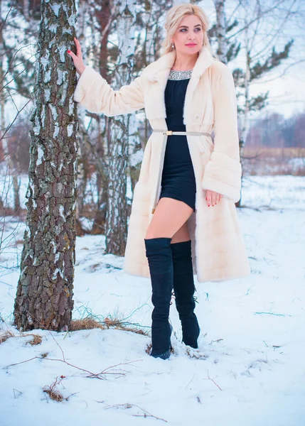 Mujer Bonita Navidad Aire Libre Señora Moda Abrigo Piel Temporada —  Fotos de Stock
