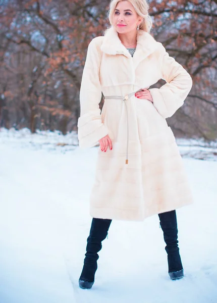 Mulher Muito Agradável Época Natal Livre Senhora Moda Casaco Pele — Fotografia de Stock