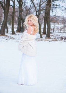 Tatil günleri, Noel kış zamanı. Zarif elbiseli ve kürklü bir kadın. Şık elbiseli bir kız, kadın modası konsepti, karlı havada sokakta poz veren.