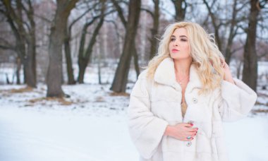 Tatil günleri, Noel kış zamanı. Zarif elbiseli ve kürklü bir kadın. Şık elbiseli bir kız, kadın modası konsepti, karlı havada sokakta poz veren.