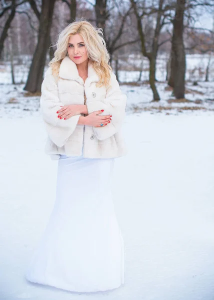 Tatil Günleri Noel Kış Zamanı Zarif Elbiseli Kürklü Bir Kadın — Stok fotoğraf