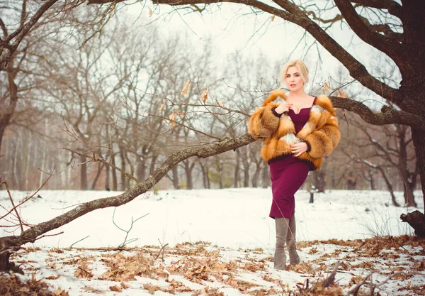 Inverno Temporada Outono Conceito Férias Inspiração Tempo Frio Fadas Mulher — Fotografia de Stock