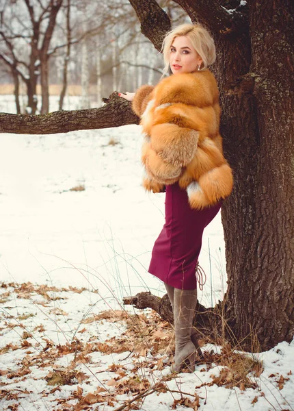 영감과 동화같은 공원에서 코트를 야외의 눈녹은 마법의 크리스마스 — 스톡 사진