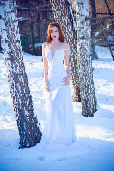 드레스를 위에서 드레스를 스타일로 포즈를 취하는 예쁘고 겨울의 결혼식 — 스톡 사진