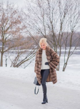  Doğada kürk giymiş zarif bir bayan, sonbahar - kış mevsimi, çekici görünümlü bir kadın