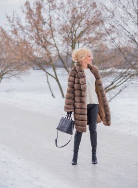  Doğada kürk giymiş zarif bir bayan, sonbahar - kış mevsimi, çekici görünümlü bir kadın